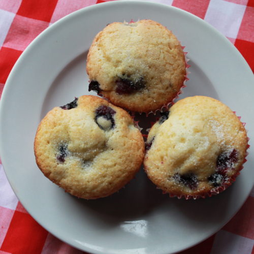 Blueberry Muffins