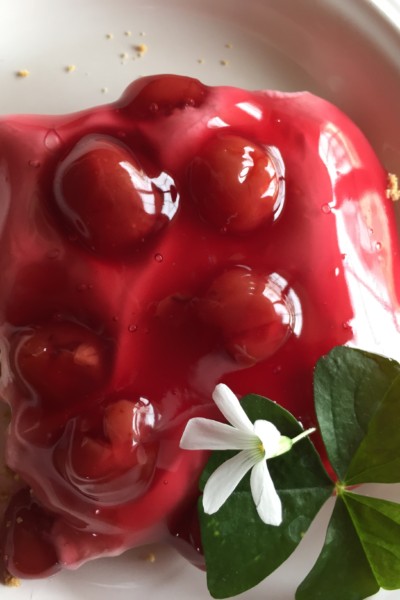 Cherry Jubilee Dessert